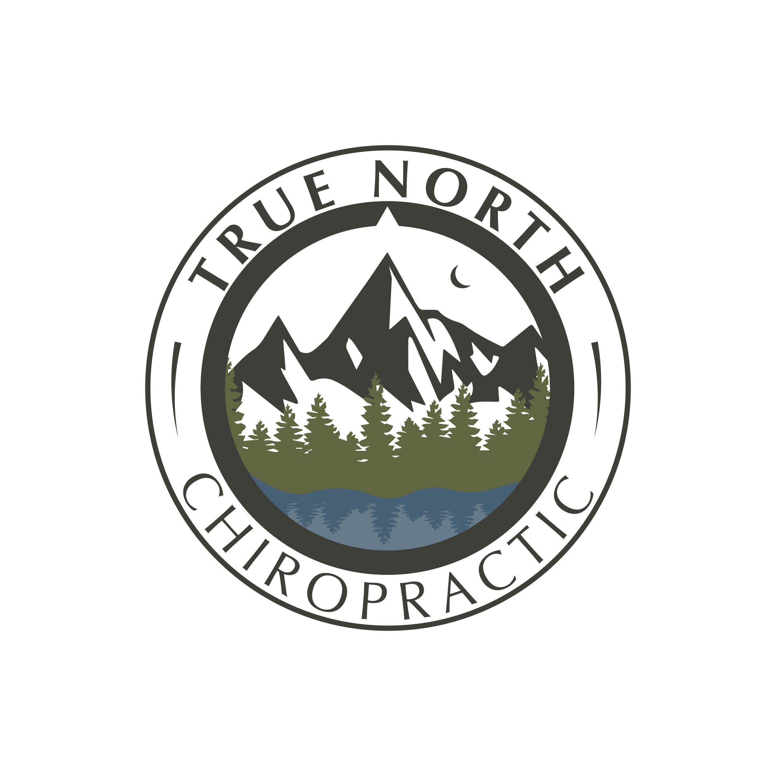 True North Logo_Full Logo_Cap-01.png