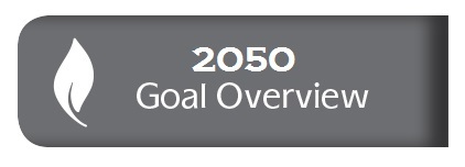 Goal Overview