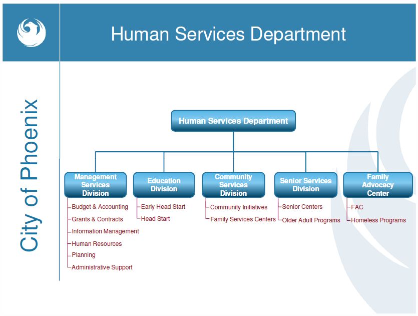 Texas Health And Human Services Organizational Chart