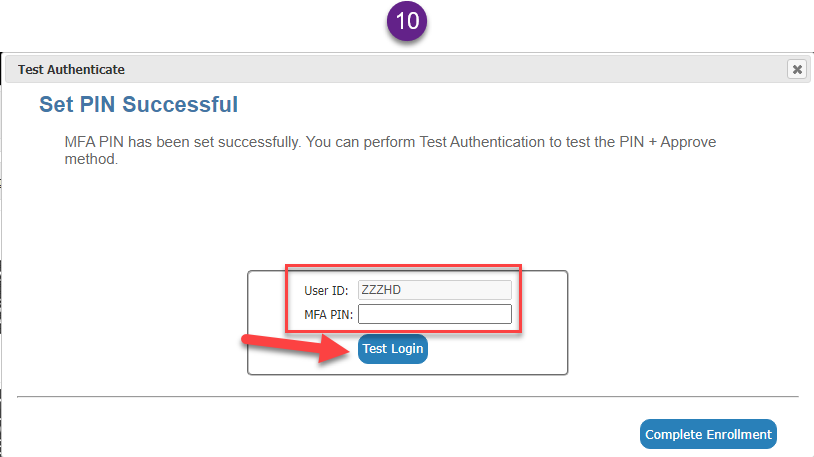 Enter your employee ID and the PIN you just created. Click Test Login.