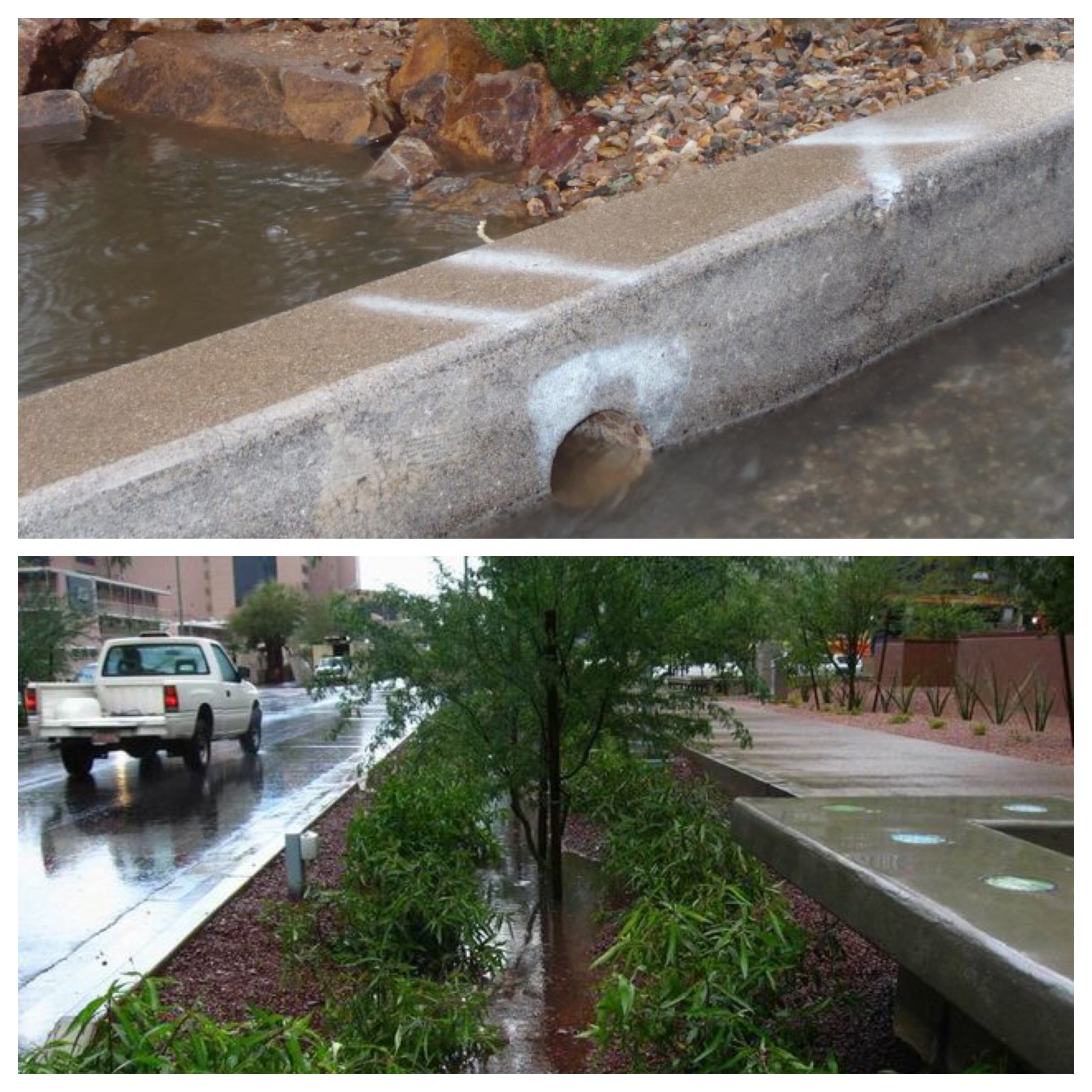 Rainwater diverted from gutter to trees along street