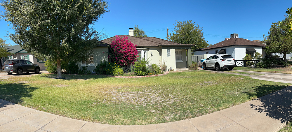 Good example of front yard grass that has a 75% density of live healthy grass