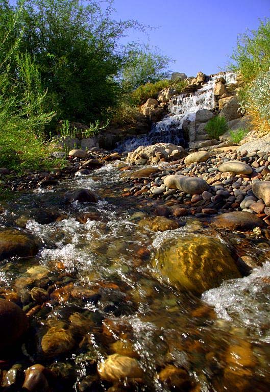 Phoenix Water Services Department - Stormwater Awareness Program