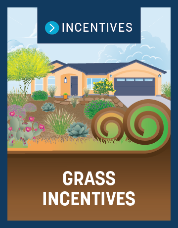 Grass Incentives button