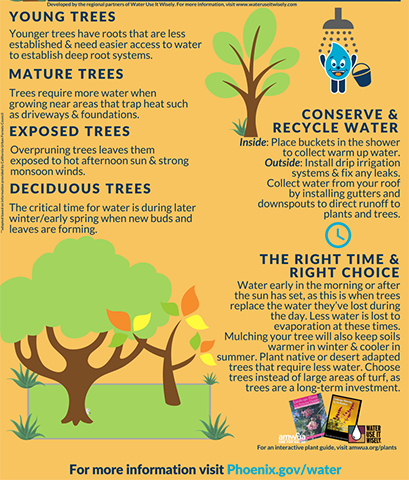 Graphic showing Summer Tress Brochure Page 2