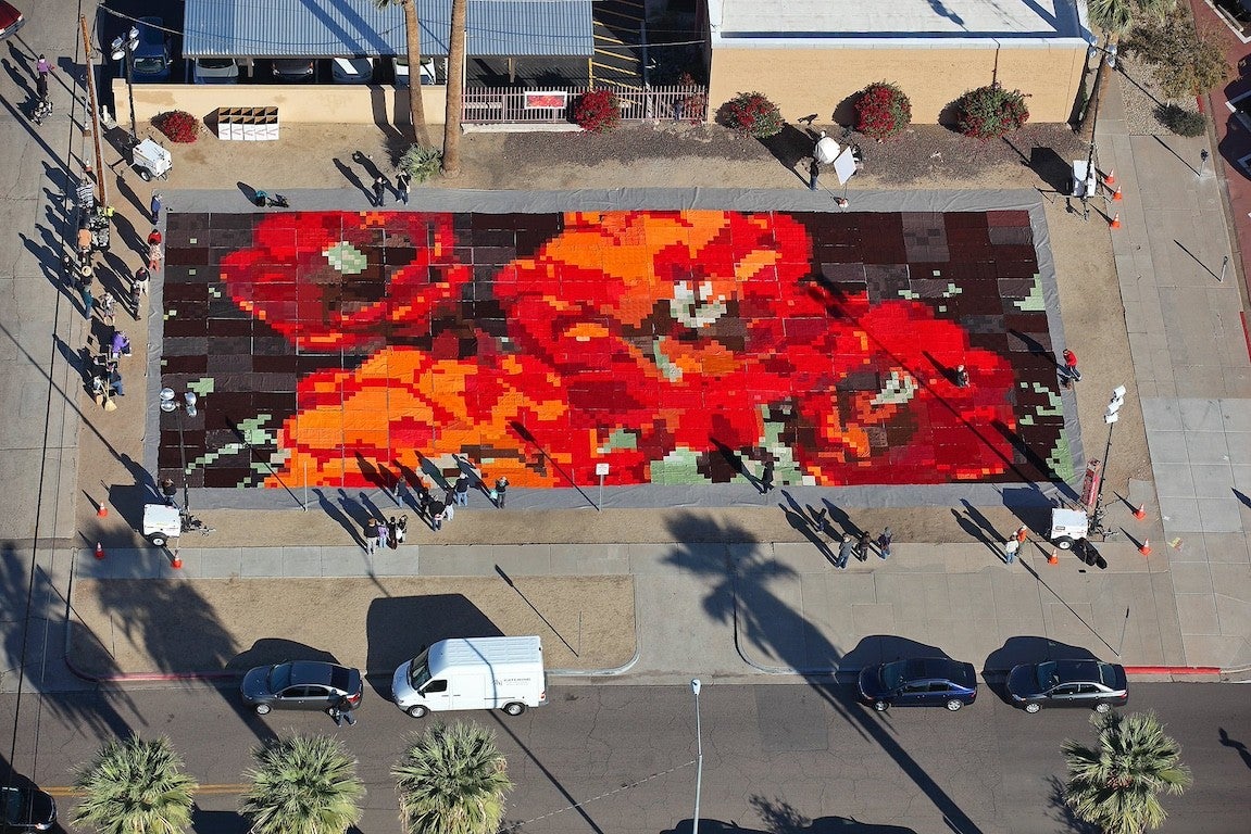 Arial photo of over 300 knit blankets arranged to show desert blooms on a vacant lot in downtown Phoenix.